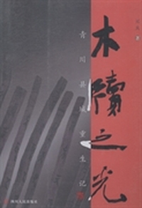 木牍之光：青川县城重生记