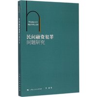 民间融资犯罪问题研究