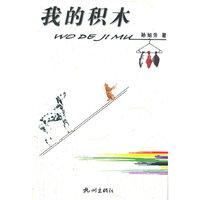 我的积木