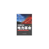 中国式的电力革命