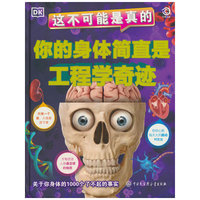 DK这不可能是真的 你的身体简直是工程学奇迹