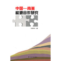 中国-南美能源合作研究