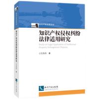 知识产权侵权纠纷法律适用研究