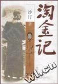 淘金记