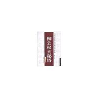 历代名家书法经典字谱：柳公权玄秘塔--第一辑（放大版）