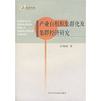 产业自组织集群化及集群经济研究