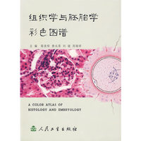 组织学与胚胎学彩色图谱