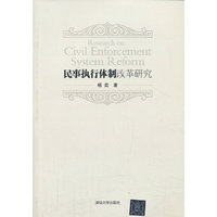 民事执行体制改革研究