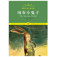 SJ国际大奖儿童小说：绒布小兔子