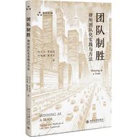 团队制胜 律所团队化实践与方法 律师阶梯