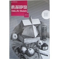 基础绘画详解素描静物