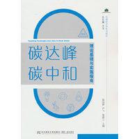 碳达峰碳中和理论基础与实施指南