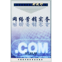 网络营销实务——21世纪经济管理新视野丛书
