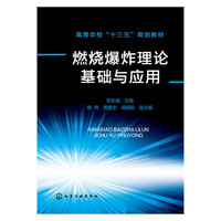 燃烧爆炸理论基础与应用
