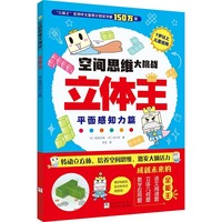 空间思维大挑战：立体王·平面感知力篇（挑战篇）