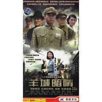 二十三集惊悚间谍连续剧:王牌谍中谍(2·DVD)