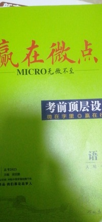 赢在微点  考前顶层设计  语文