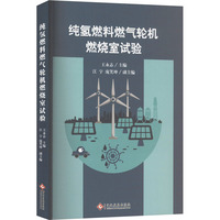 纯氢燃料燃气轮机燃烧室试验