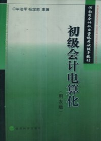 初级会计电算化（用友版）