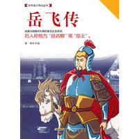 岳飞传