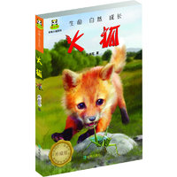 倔小孩动物小说之火狐