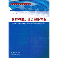 政府咨询之综合解决方案