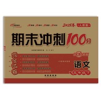 期末冲刺卷100分语文五年级 下册25春(人教版)