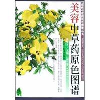 美容中草药原色图谱/疾病中草药原色图谱丛书