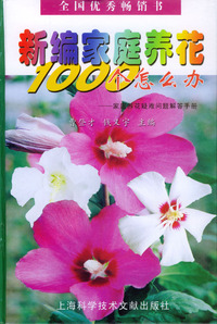 新编家庭养花1000个怎么办