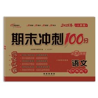 期末冲刺卷100分语文六年级 下册25春(人教版)