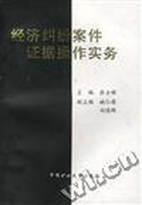 经济纠纷案件证据操作实务
