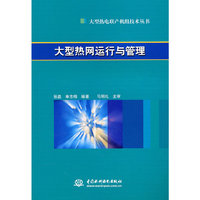 大型热网运行与管理 (大型热电联产机组技术丛书)