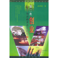 第二次创业——知识经济边沿的中国