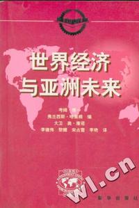 世界经济与亚洲未来-国外大视野丛书