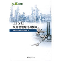 中国石油HSE管理丛书 HSE风险管理理论与实践`