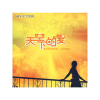 SDY天空乐队 天空下的爱(CD)
