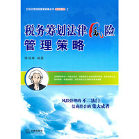 税务筹划法律风险管理策略
