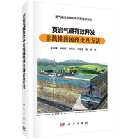 页岩气藏有效开发非线性渗流理论及方法