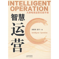智慧运营：大屏电商运营实战手册