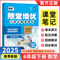 2025春随堂培优小学生课堂笔记6年级下册数学人教版 同步教材名师讲解随堂笔记学霸智慧课堂天天向上