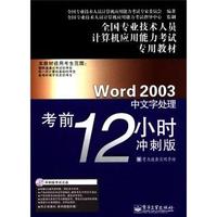 Word 2003中文处理考前12小时冲刺版-含光盘1张