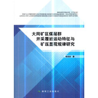 大同矿区煤层群开采覆岩运动特征与矿压显现规律研究