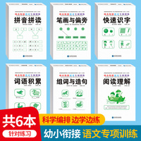 幼小衔接语文专项训练 全6册 拼音拼读笔画偏旁 幼小衔接整合教材 幼儿园大中学前班一年级学前教育语文专项训练一日一练