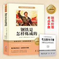 钢铁是怎样炼成的