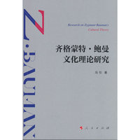 齐格蒙特·鲍曼文化理论研究