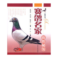 赛鸽名家致胜秘笈