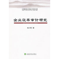 企业效率审计研究