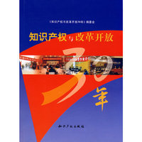 知识产权与改革开放30年