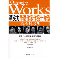 新实力华语作家作品十年选 看不到尽头