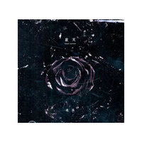 边远：寂灭（CD）